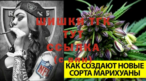 хмурый Елизово