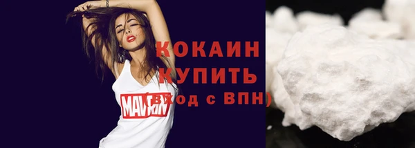 МДМА Ельня