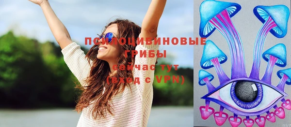 хмурый Елизово