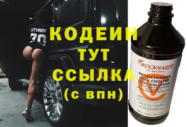 хмурый Елизово