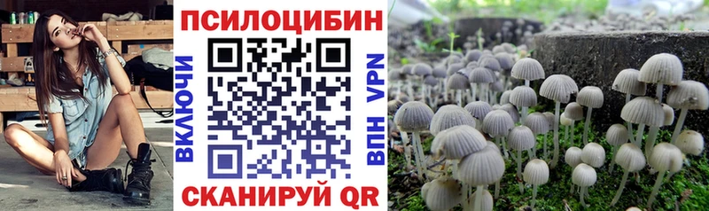 Купить  Минусинск  Псилоцибиновые грибы прущие грибы 